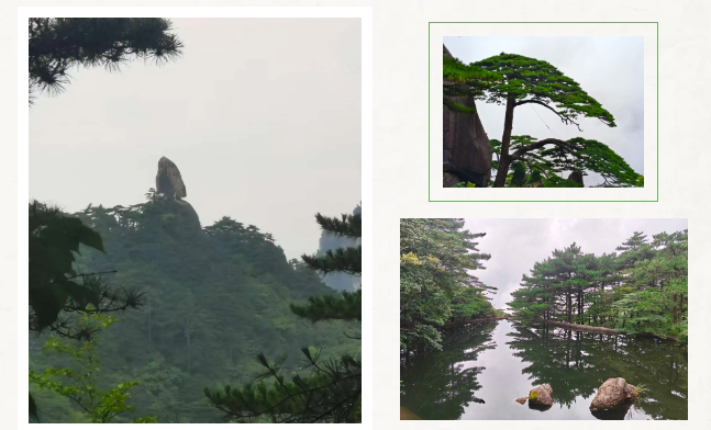 20250916133814994710.png 58986852.png