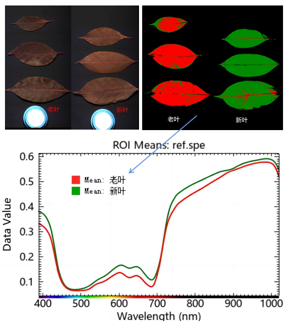 20250917151647770951.png 58344301.png