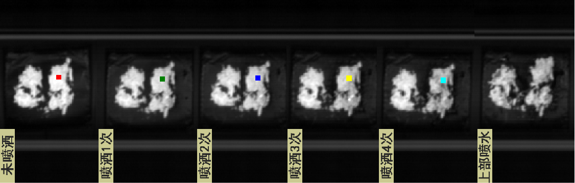 20251107133308326192.png 圖片10.png