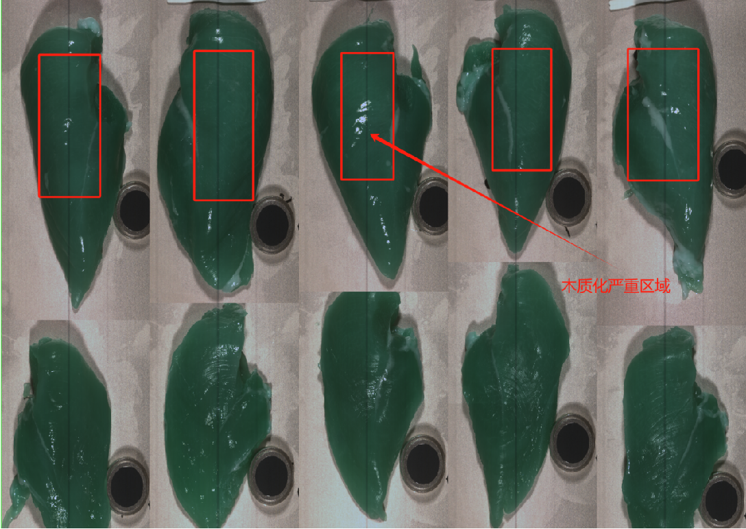 20251107140332464839.png 圖片11.png