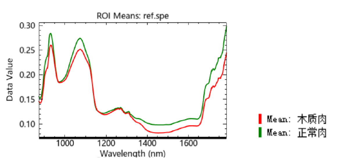 20251107140348225500.png 圖片13.png