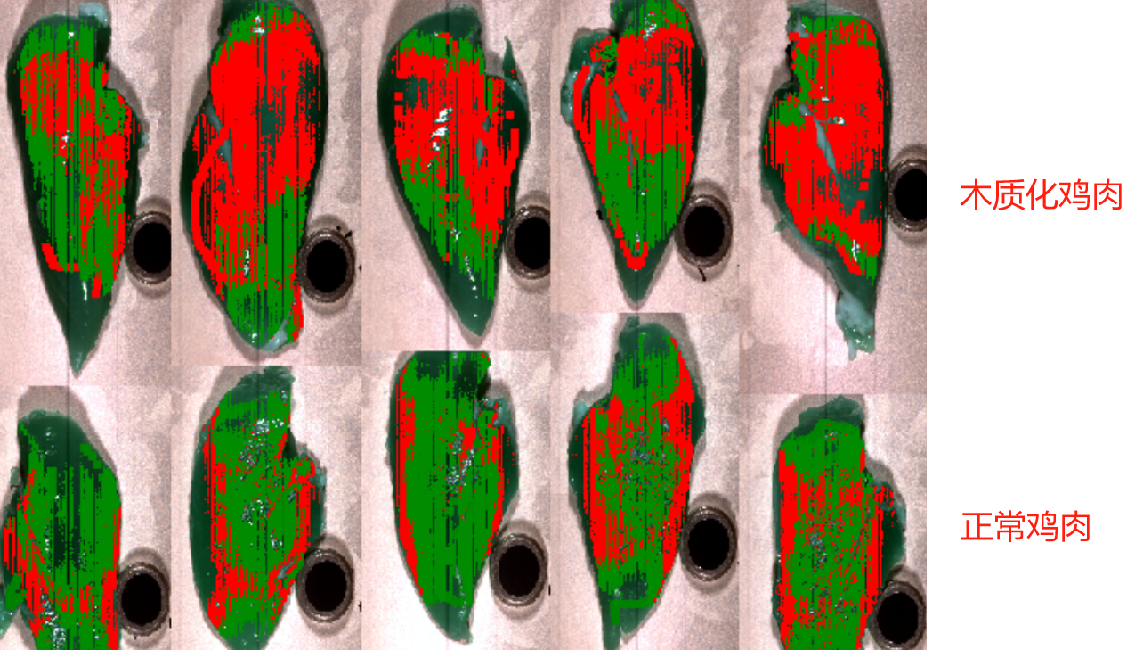 20251107140404505326.png 圖片14.png